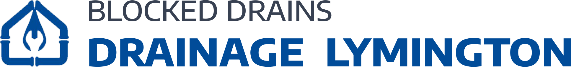 website logo